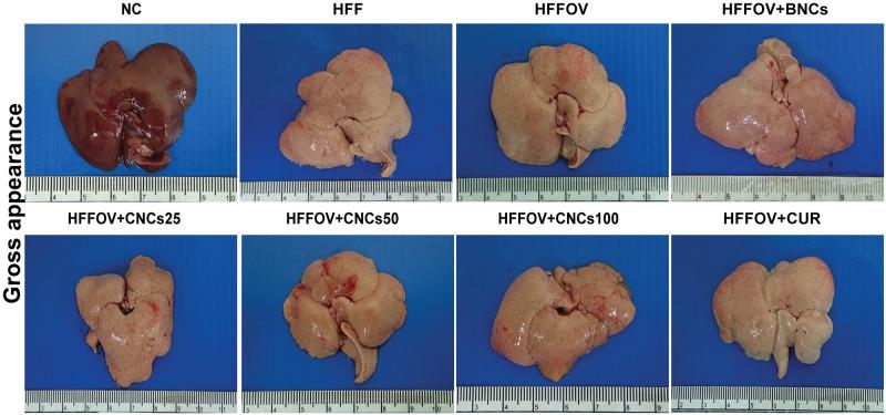 https://cdn.ncbi.nlm.nih.gov/pmc/blobs/ea8b/9514634/e322e5a9110b/pone.0275273.g003.jpg