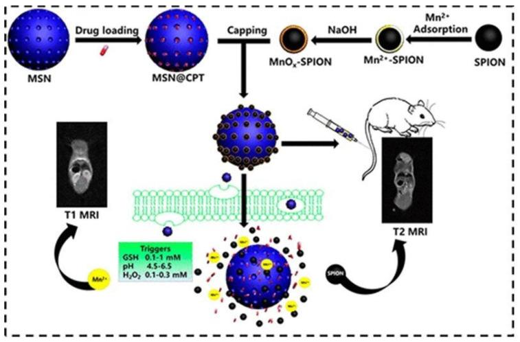 https://cdn.ncbi.nlm.nih.gov/pmc/blobs/ea8e/10974227/e48df592b46e/molecules-29-01352-g006.jpg