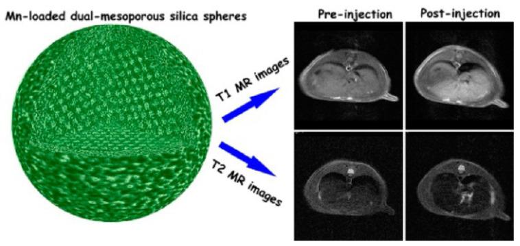 https://cdn.ncbi.nlm.nih.gov/pmc/blobs/ea8e/10974227/f7e57163a1be/molecules-29-01352-g002.jpg