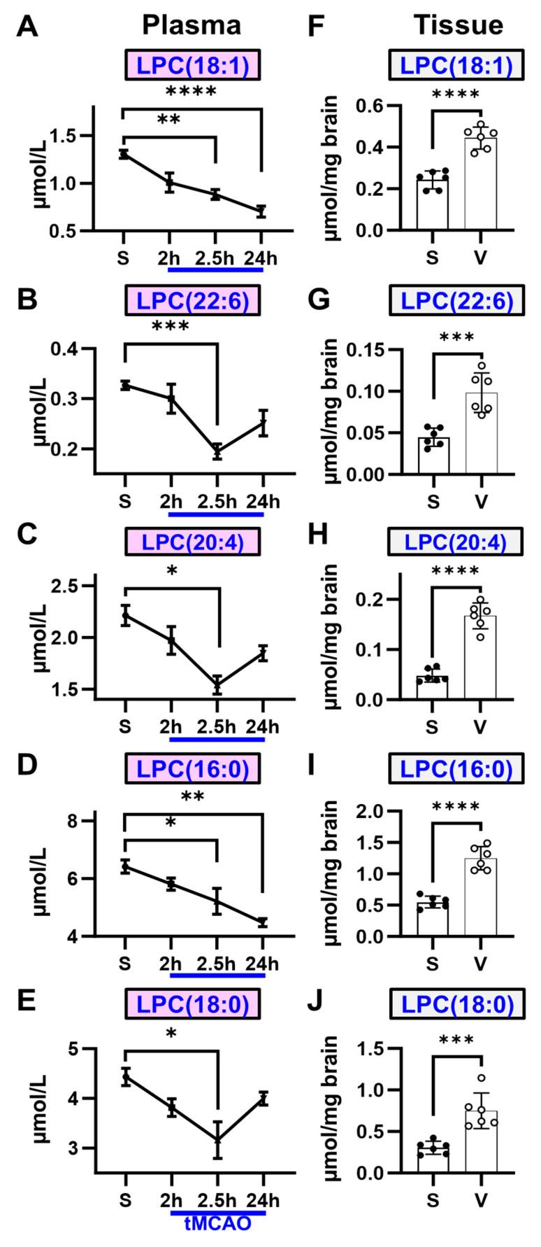 https://cdn.ncbi.nlm.nih.gov/pmc/blobs/ea8e/11477326/36e9d575b2ad/ijms-25-10649-g001.jpg
