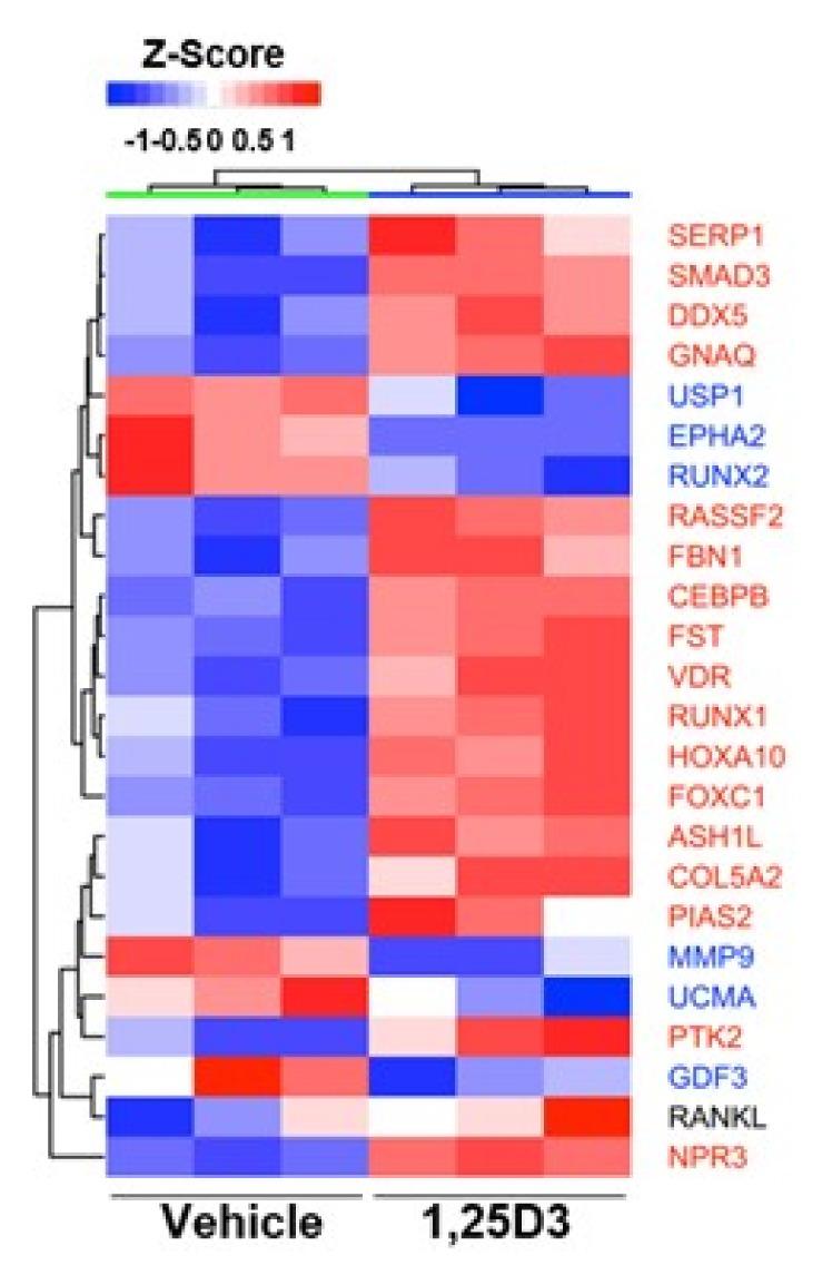 https://cdn.ncbi.nlm.nih.gov/pmc/blobs/ea8f/6605518/1110bc0f60ce/bmb-52-391f1.jpg