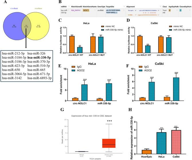 https://cdn.ncbi.nlm.nih.gov/pmc/blobs/ea91/12175339/220c43a4e5cc/41065_2025_478_Fig4_HTML.jpg