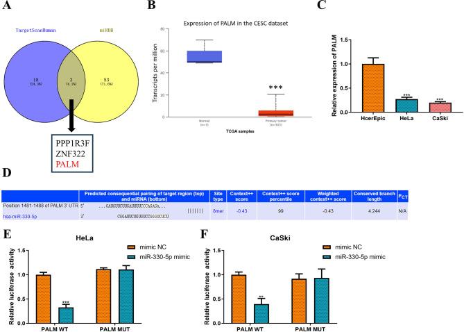 https://cdn.ncbi.nlm.nih.gov/pmc/blobs/ea91/12175339/8560fe51b70f/41065_2025_478_Fig5_HTML.jpg