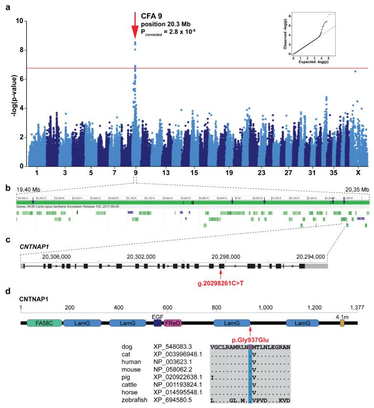 https://cdn.ncbi.nlm.nih.gov/pmc/blobs/ea91/7761076/0950a27eda9a/genes-11-01426-g002.jpg