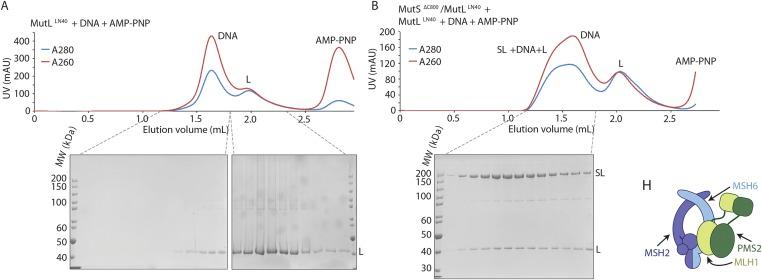 https://cdn.ncbi.nlm.nih.gov/pmc/blobs/ea95/4521584/23e30e0558fe/elife06744fs006.jpg