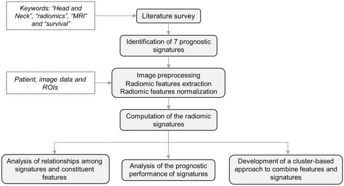 https://cdn.ncbi.nlm.nih.gov/pmc/blobs/ea97/11043398/d82b73310412/41598_2024_60009_Fig1_HTML.jpg