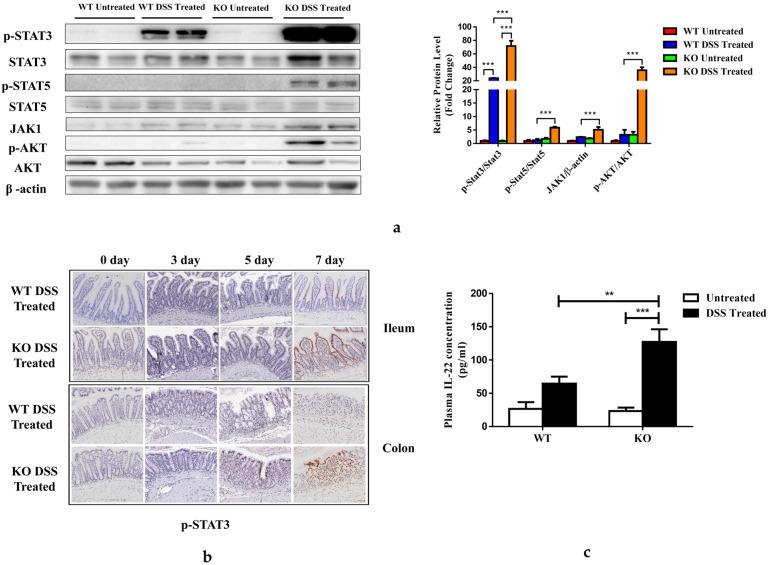 https://cdn.ncbi.nlm.nih.gov/pmc/blobs/ea99/10181108/bd3f30bab6d9/nutrients-15-02086-g006.jpg