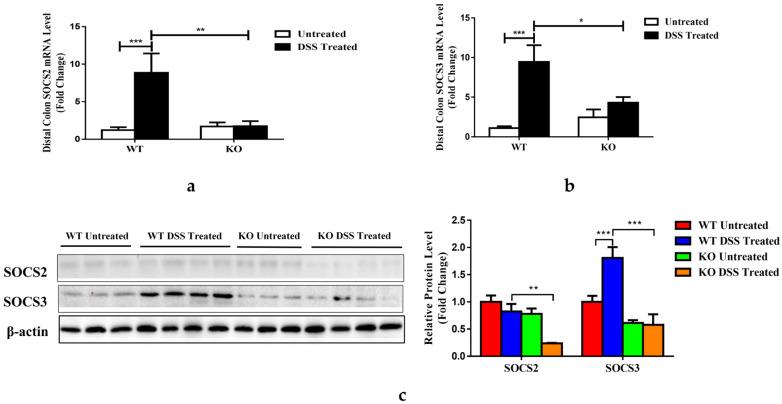 https://cdn.ncbi.nlm.nih.gov/pmc/blobs/ea99/10181108/d9f1b618e8a1/nutrients-15-02086-g007.jpg