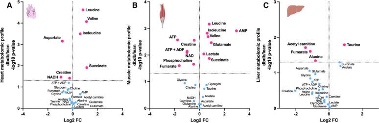https://cdn.ncbi.nlm.nih.gov/pmc/blobs/ea99/12144705/3903806f0af4/12933_2025_2771_Fig4_HTML.jpg