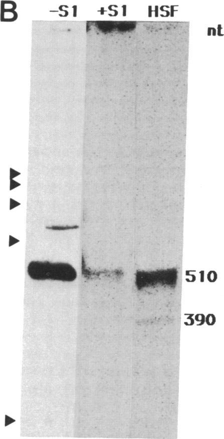 https://cdn.ncbi.nlm.nih.gov/pmc/blobs/ea99/287275/4d4d9ef66c68/pnas00252-0070-a.jpg