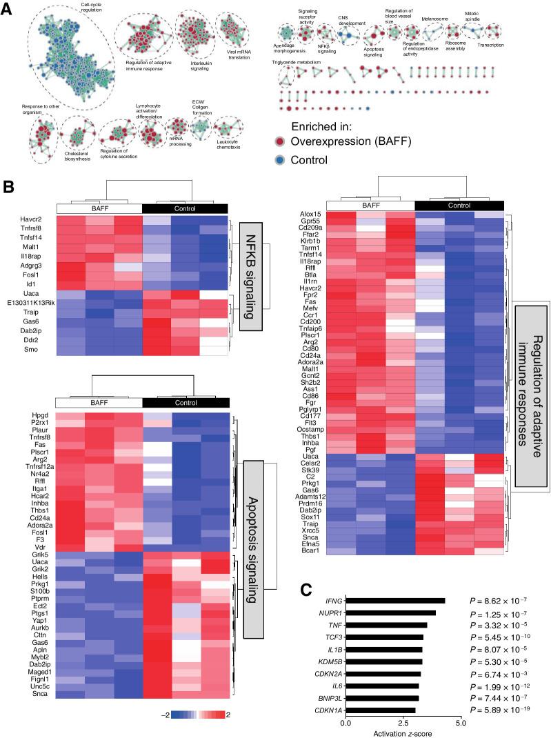 https://cdn.ncbi.nlm.nih.gov/pmc/blobs/ea99/9397630/11780b0cdb05/264fig5.jpg