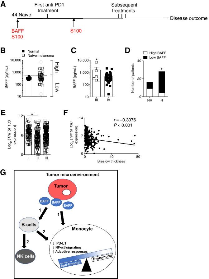 https://cdn.ncbi.nlm.nih.gov/pmc/blobs/ea99/9397630/40ca7337cdda/264fig7.jpg