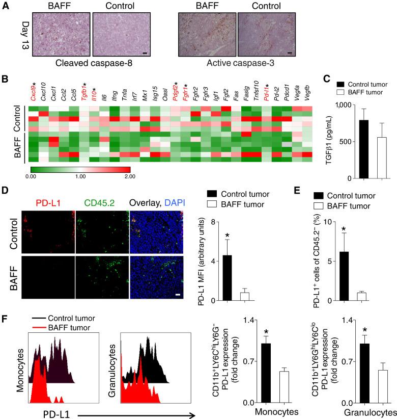 https://cdn.ncbi.nlm.nih.gov/pmc/blobs/ea99/9397630/ec7b31d365d7/264fig3.jpg