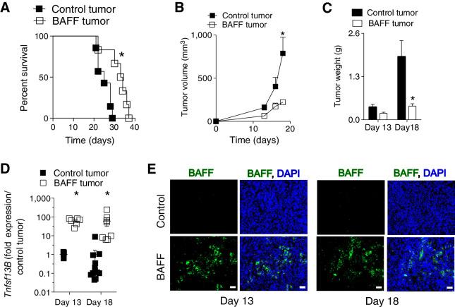 https://cdn.ncbi.nlm.nih.gov/pmc/blobs/ea99/9397630/efa2a3eb3c33/264fig1.jpg