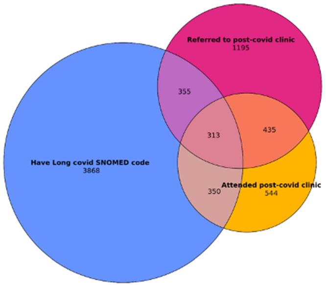 https://cdn.ncbi.nlm.nih.gov/pmc/blobs/ea9b/12215820/c04429a6408b/HEX-28-e70336-g002.jpg