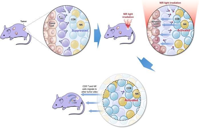 https://cdn.ncbi.nlm.nih.gov/pmc/blobs/ea9b/6704485/53f496aa199c/ar-2019-00273j_0004.jpg