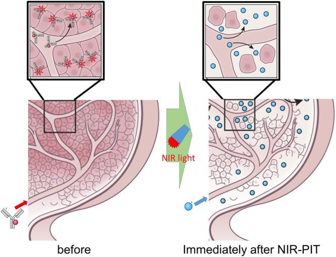 https://cdn.ncbi.nlm.nih.gov/pmc/blobs/ea9b/6704485/5b9ea663e4ab/ar-2019-00273j_0007.jpg