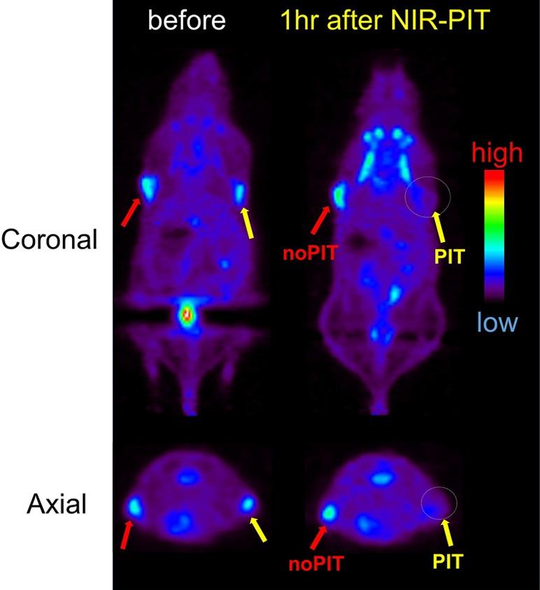 https://cdn.ncbi.nlm.nih.gov/pmc/blobs/ea9b/6704485/a383915d7b32/ar-2019-00273j_0006.jpg
