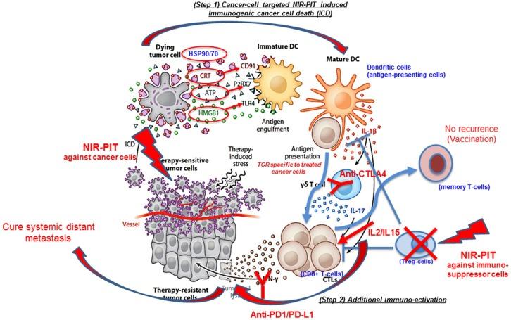 https://cdn.ncbi.nlm.nih.gov/pmc/blobs/ea9b/6704485/aa96f557f711/ar-2019-00273j_0005.jpg