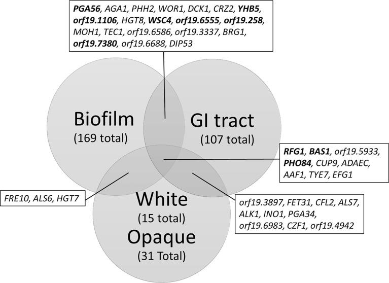 https://cdn.ncbi.nlm.nih.gov/pmc/blobs/ea9c/8980467/82adae8cebc4/fcimb-12-855229-g002.jpg