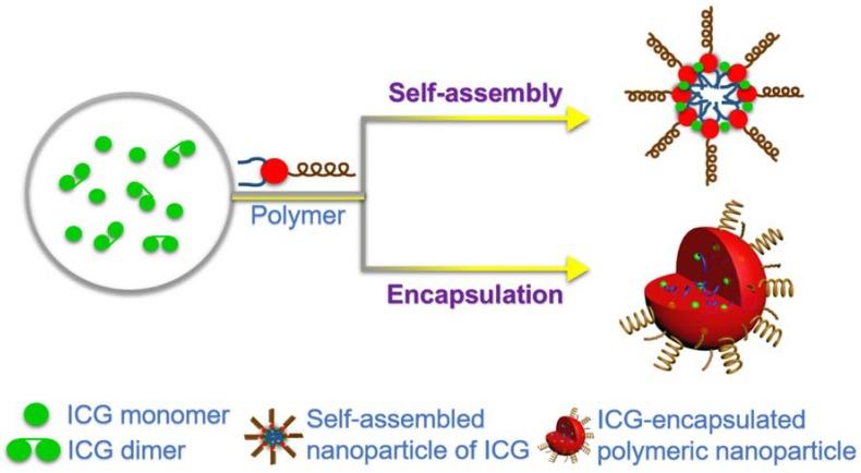 https://cdn.ncbi.nlm.nih.gov/pmc/blobs/ea9d/6027497/007ea80e0196/nanomaterials-08-00360-g003.jpg