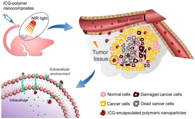 https://cdn.ncbi.nlm.nih.gov/pmc/blobs/ea9d/6027497/2c1c2e035d7a/nanomaterials-08-00360-g007.jpg