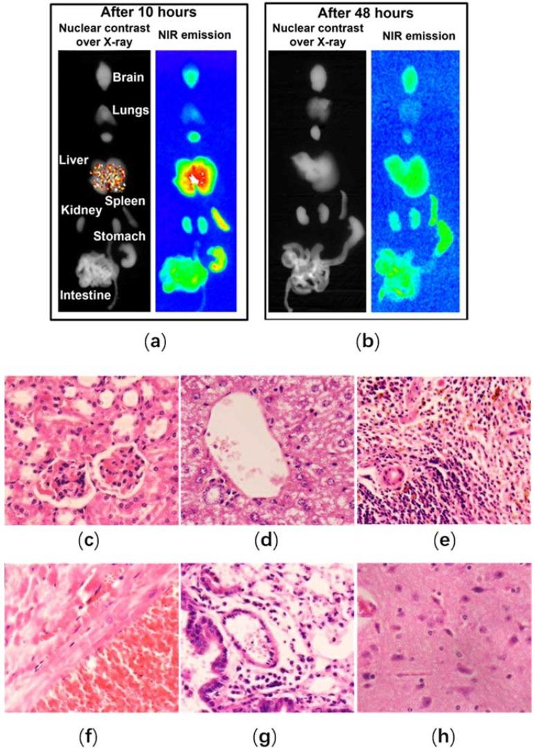 https://cdn.ncbi.nlm.nih.gov/pmc/blobs/ea9d/6027497/afd6eaeb81b4/nanomaterials-08-00360-g004.jpg