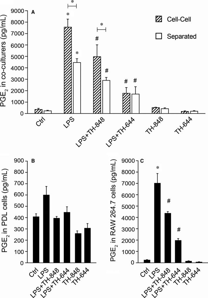 https://cdn.ncbi.nlm.nih.gov/pmc/blobs/ea9e/6349150/2f1189c75569/JCMM-23-1152-g002.jpg