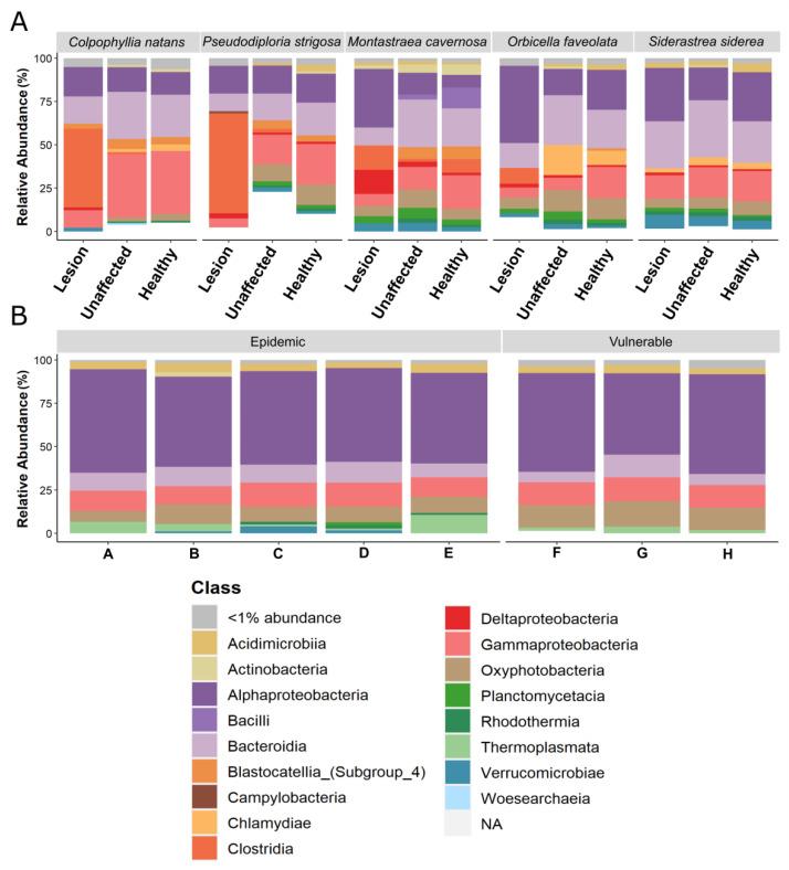 https://cdn.ncbi.nlm.nih.gov/pmc/blobs/ea9e/8623284/f7502fb7a8ae/microorganisms-09-02181-g007.jpg