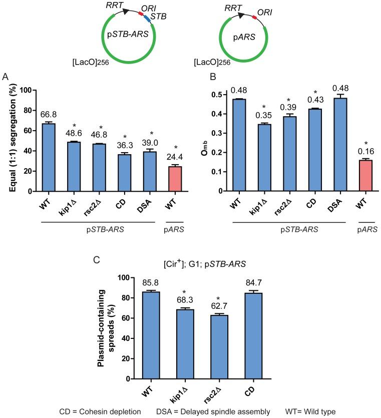 https://cdn.ncbi.nlm.nih.gov/pmc/blobs/eaa0/5041486/588752a19cfb/gkw694fig8.jpg