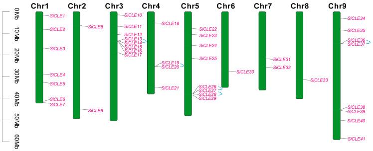 https://cdn.ncbi.nlm.nih.gov/pmc/blobs/eaa1/10671770/bddb2d846297/genes-14-02046-g004.jpg