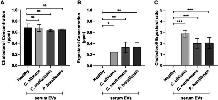 https://cdn.ncbi.nlm.nih.gov/pmc/blobs/eaa2/12381960/05483413f9cd/JEX2-4-e70065-g002.jpg