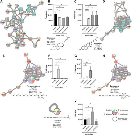 https://cdn.ncbi.nlm.nih.gov/pmc/blobs/eaa2/12381960/0b426d3e0eb6/JEX2-4-e70065-g007.jpg