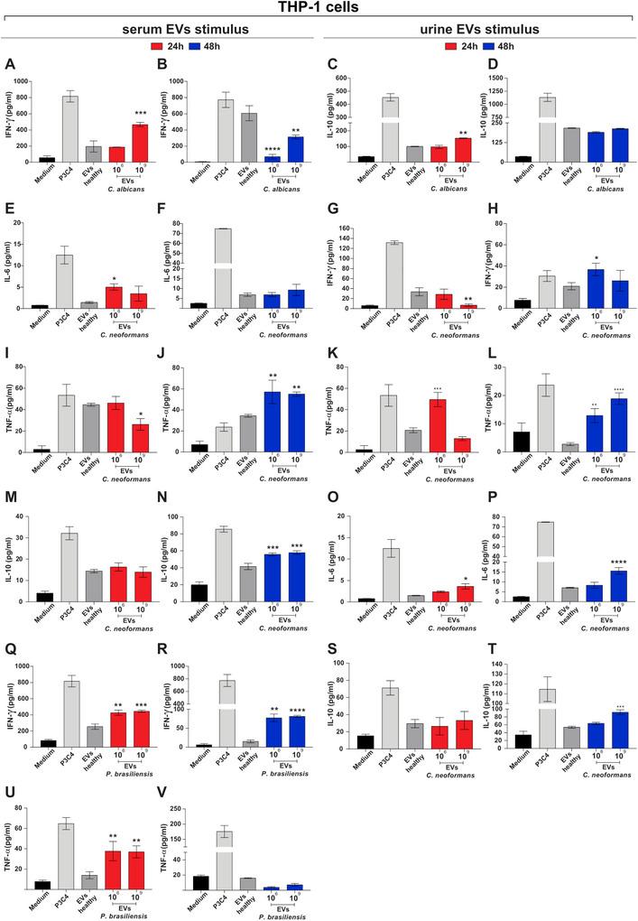 https://cdn.ncbi.nlm.nih.gov/pmc/blobs/eaa2/12381960/9cbdd296fdf6/JEX2-4-e70065-g006.jpg