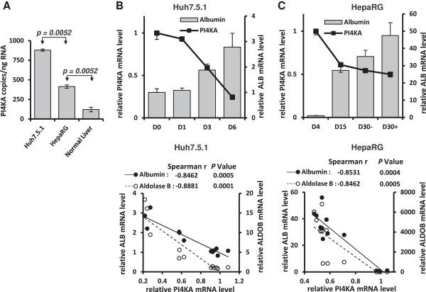 https://cdn.ncbi.nlm.nih.gov/pmc/blobs/eaa3/3898250/101a45e7e708/1471-2407-14-7-2.jpg