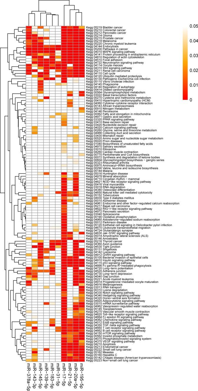 https://cdn.ncbi.nlm.nih.gov/pmc/blobs/eaa3/4741947/373c7265634c/oncotarget-06-37544-g005.jpg
