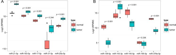 https://cdn.ncbi.nlm.nih.gov/pmc/blobs/eaa3/4741947/7cb2c4e686c5/oncotarget-06-37544-g003.jpg