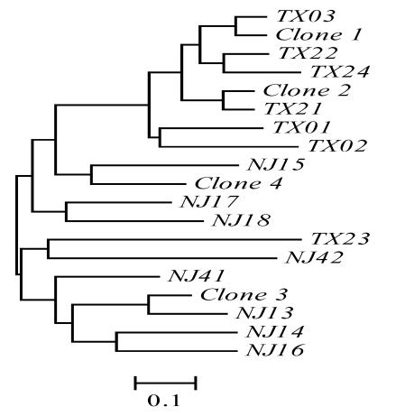 https://cdn.ncbi.nlm.nih.gov/pmc/blobs/eaa6/2532795/117be2ef0604/ijbsv04p0279g02.jpg