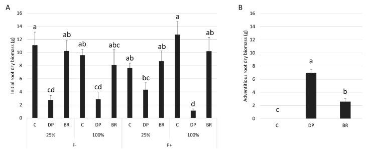 https://cdn.ncbi.nlm.nih.gov/pmc/blobs/eaa6/6473862/78bcba062fcf/plants-08-00070-g003.jpg