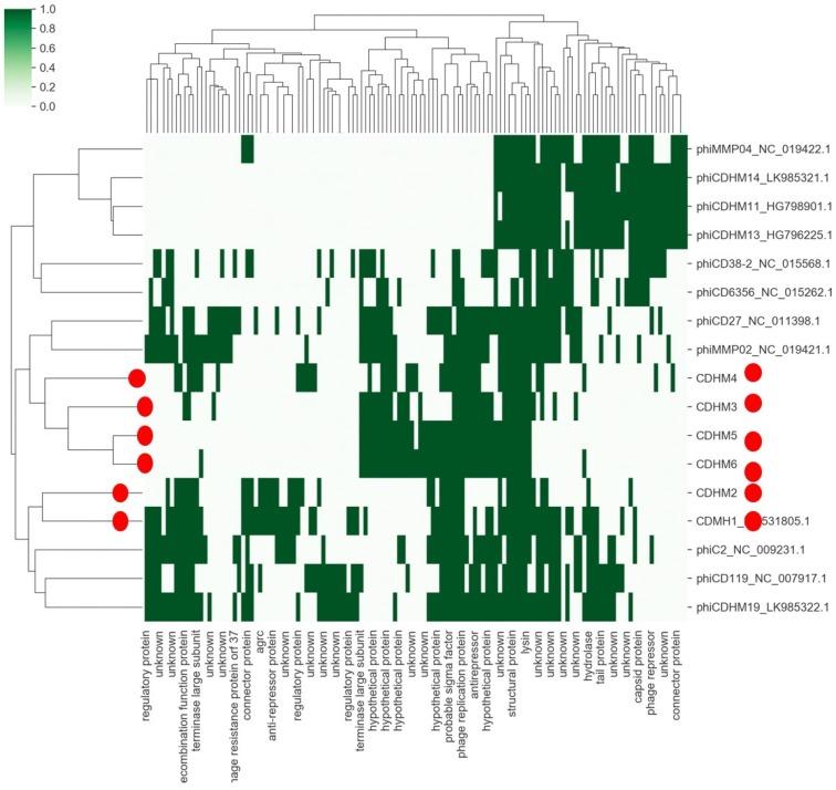 https://cdn.ncbi.nlm.nih.gov/pmc/blobs/eaa8/6563321/5c8940cdde13/viruses-11-00420-g003.jpg