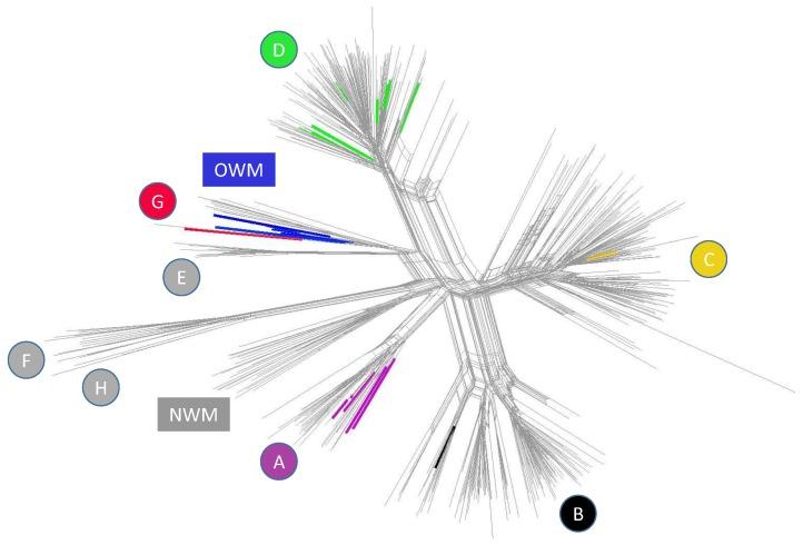 https://cdn.ncbi.nlm.nih.gov/pmc/blobs/eaa8/6563321/777fe96ff69a/viruses-11-00420-g005.jpg