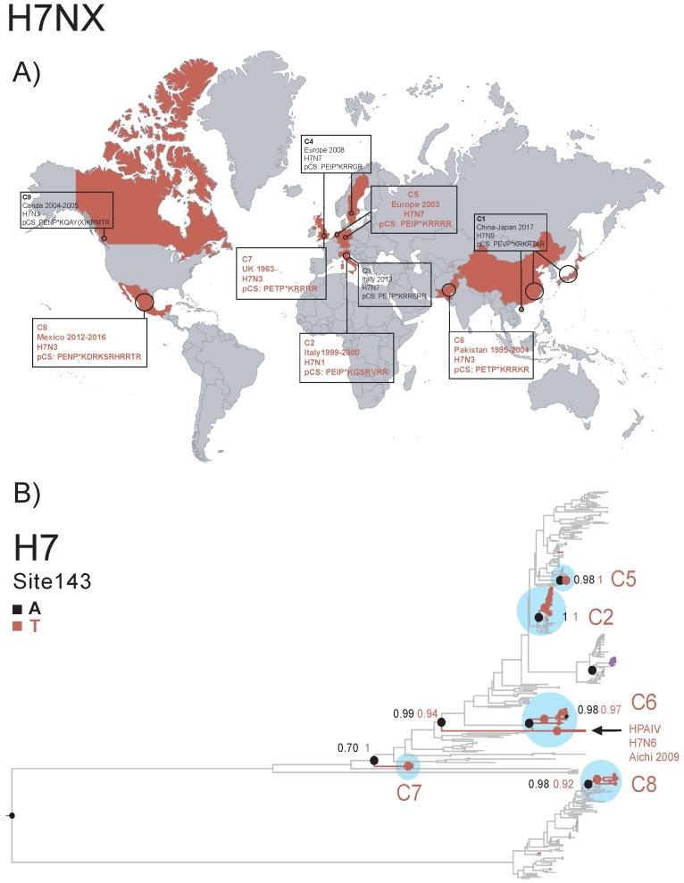 https://cdn.ncbi.nlm.nih.gov/pmc/blobs/eaa8/6563321/ace82db194a2/viruses-11-00420-g008.jpg