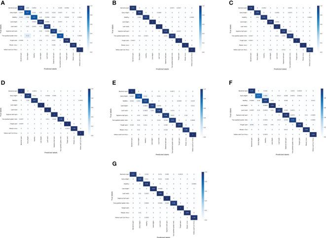 https://cdn.ncbi.nlm.nih.gov/pmc/blobs/eaa9/10203629/da61e9facf33/fpls-14-1166296-g006.jpg