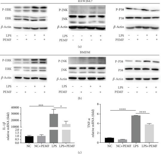https://cdn.ncbi.nlm.nih.gov/pmc/blobs/eaab/7273431/447adfc8ff3b/BMRI2020-4307385.005.jpg
