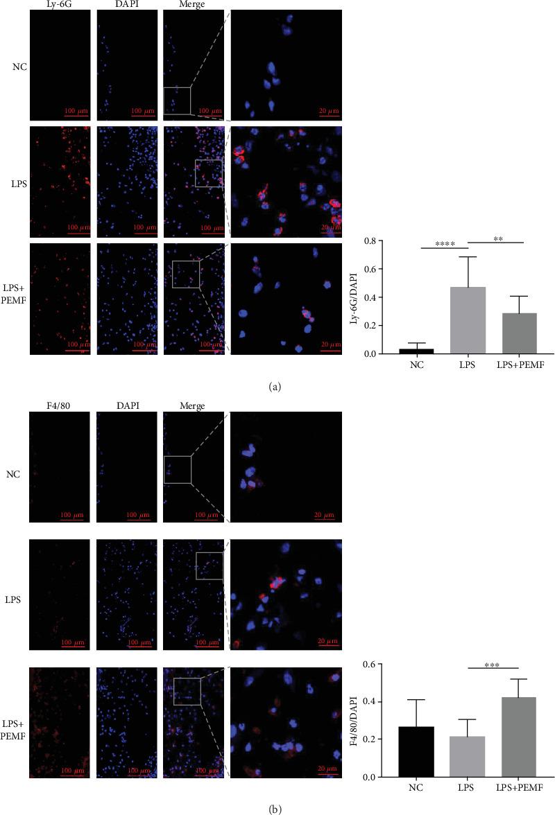 https://cdn.ncbi.nlm.nih.gov/pmc/blobs/eaab/7273431/66e45efd259d/BMRI2020-4307385.003.jpg
