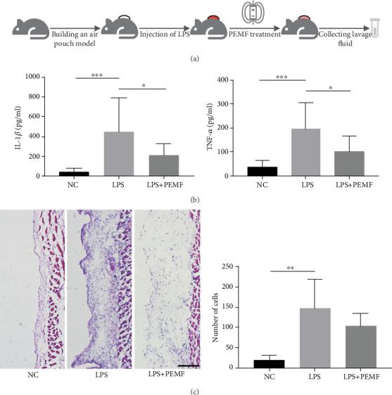 https://cdn.ncbi.nlm.nih.gov/pmc/blobs/eaab/7273431/9a02d8b95188/BMRI2020-4307385.002.jpg