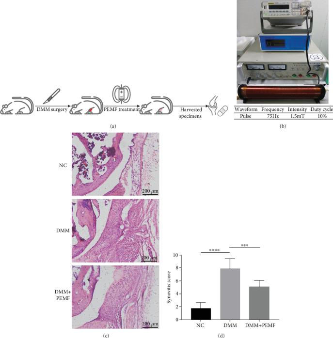 https://cdn.ncbi.nlm.nih.gov/pmc/blobs/eaab/7273431/a79ca3da0cf5/BMRI2020-4307385.001.jpg