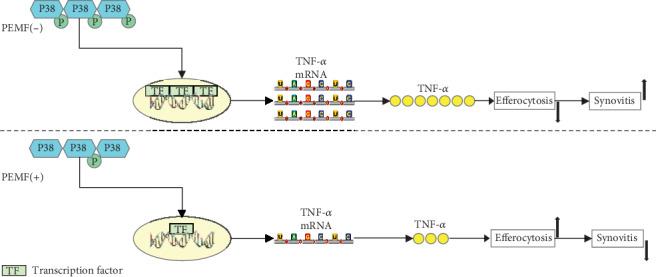 https://cdn.ncbi.nlm.nih.gov/pmc/blobs/eaab/7273431/d1742de49894/BMRI2020-4307385.006.jpg