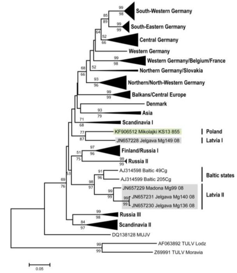 https://cdn.ncbi.nlm.nih.gov/pmc/blobs/eaac/3917447/5d0067550281/viruses-06-00340-g002.jpg