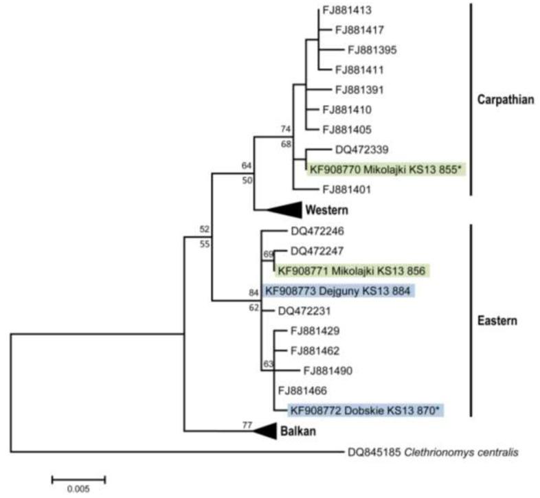 https://cdn.ncbi.nlm.nih.gov/pmc/blobs/eaac/3917447/7c41ea7f4eb3/viruses-06-00340-g003.jpg